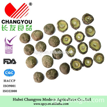 shiitake dried China shiitake mushroom supplier